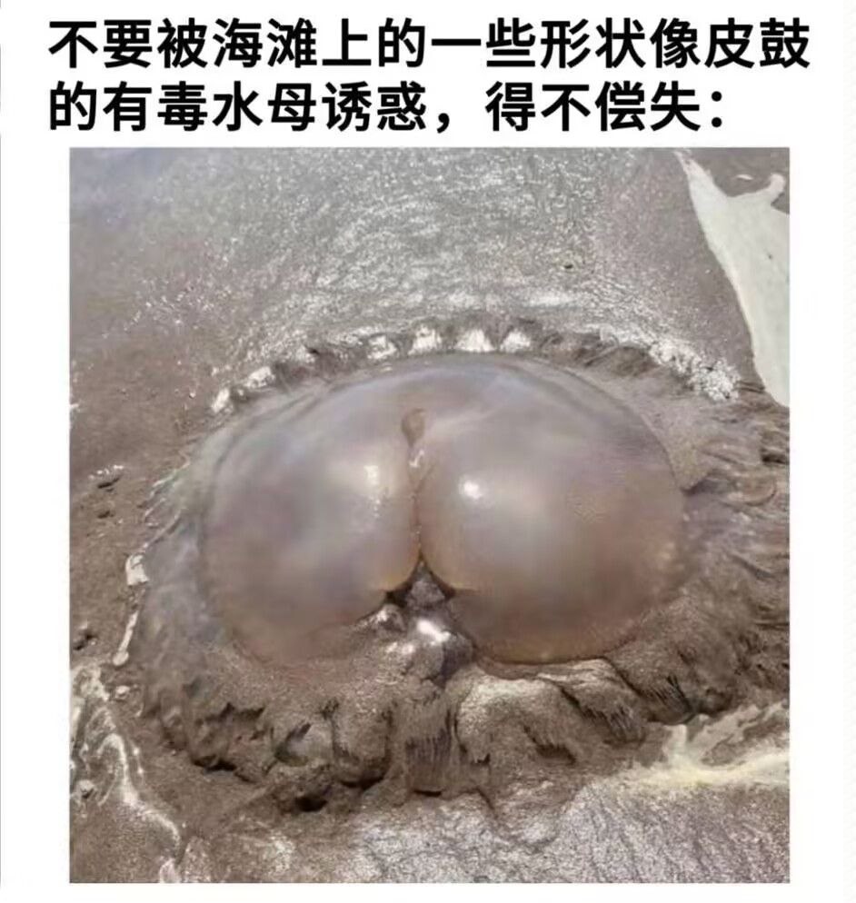 Forwarded from channel 心惊报:
> via Kairan Aquamarine