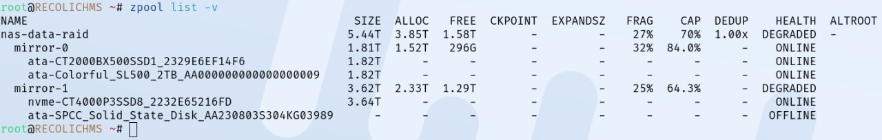 靠的就是把数据全部堆进NAS里