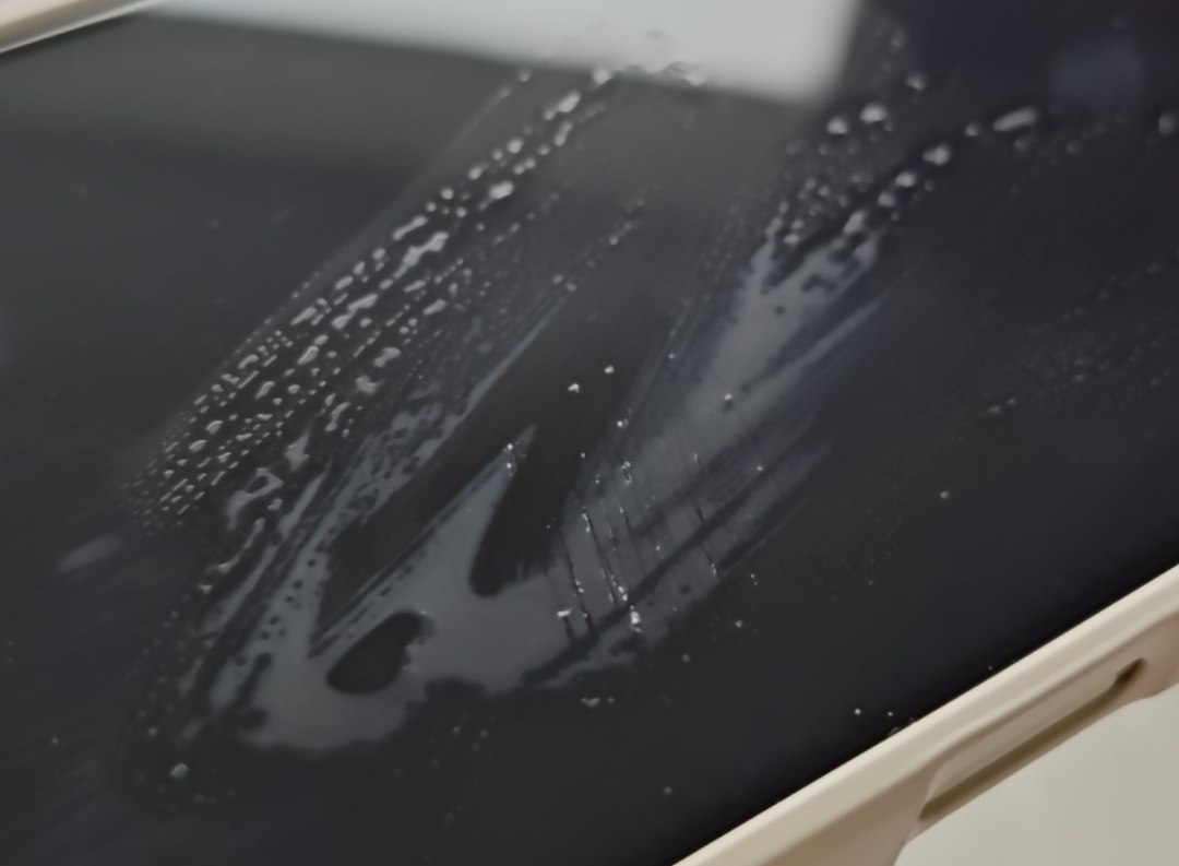 满满的 人造蛋白质哦