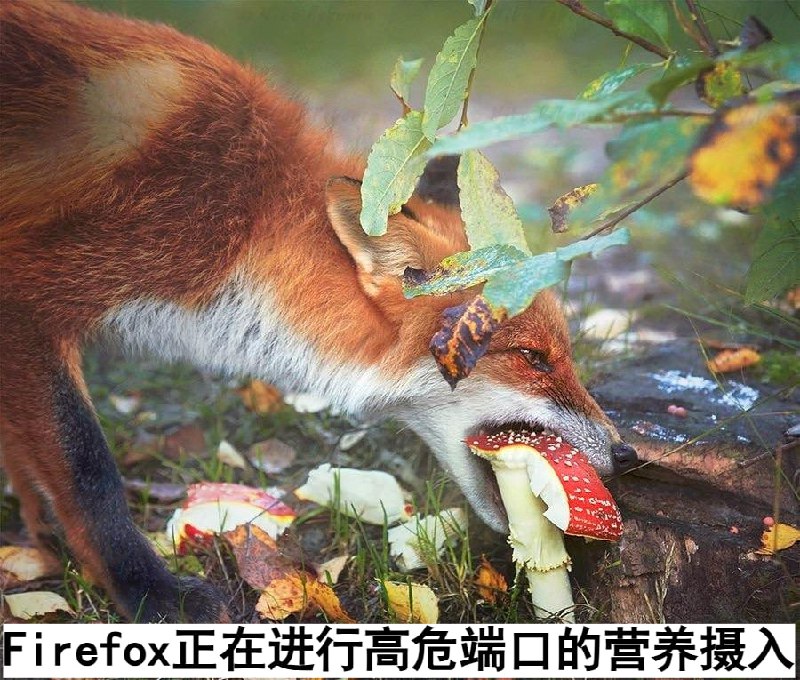 Forwarded from channel 🔮 奇闻异录 与 沙雕时刻 meme collection:
> via chino