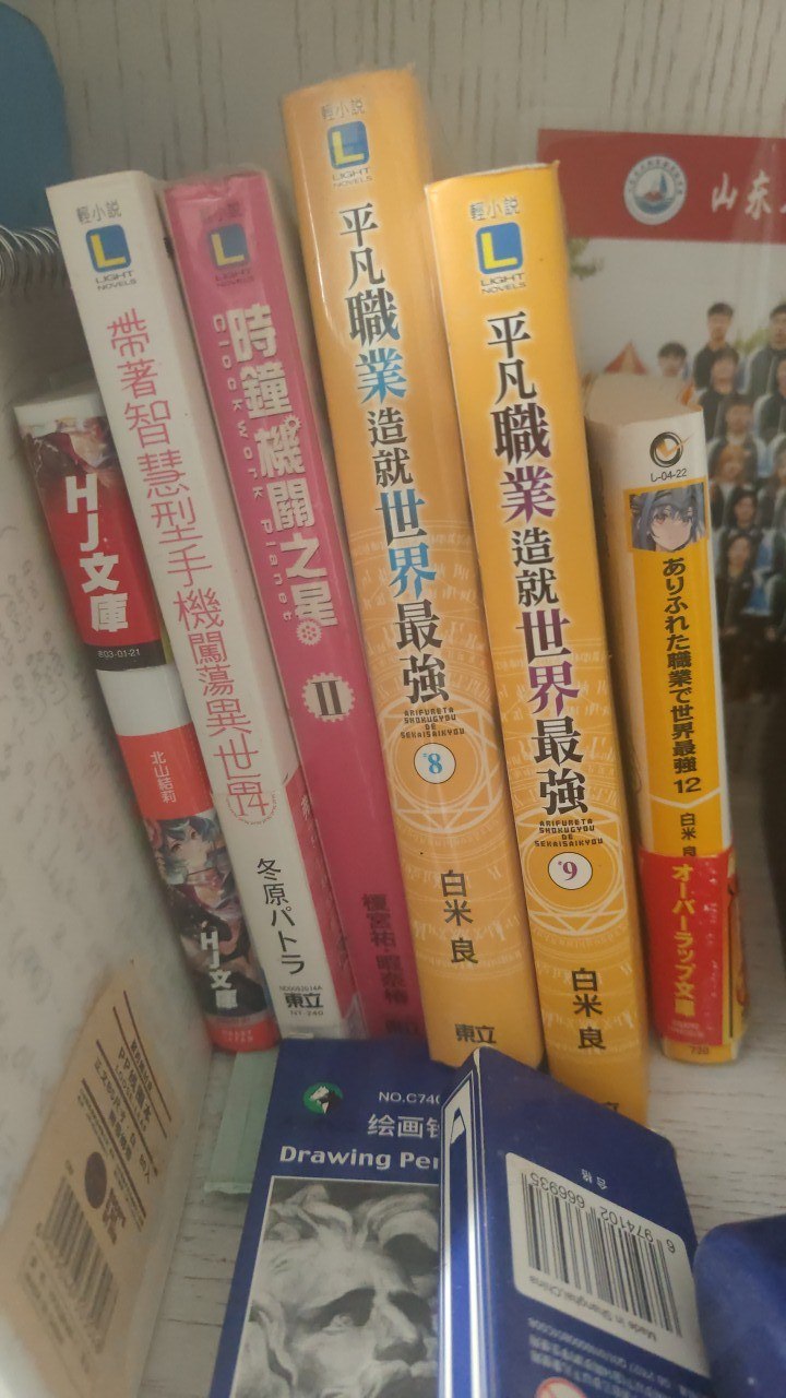 就這些，外加不知道四五年前買的小立牌以及最左邊 hj 文庫 melonbooks 送的 nsfw 掛畫