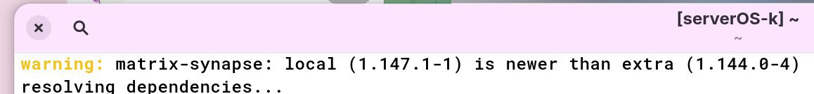 Arch 官方的 Synapse 包这么不上心?