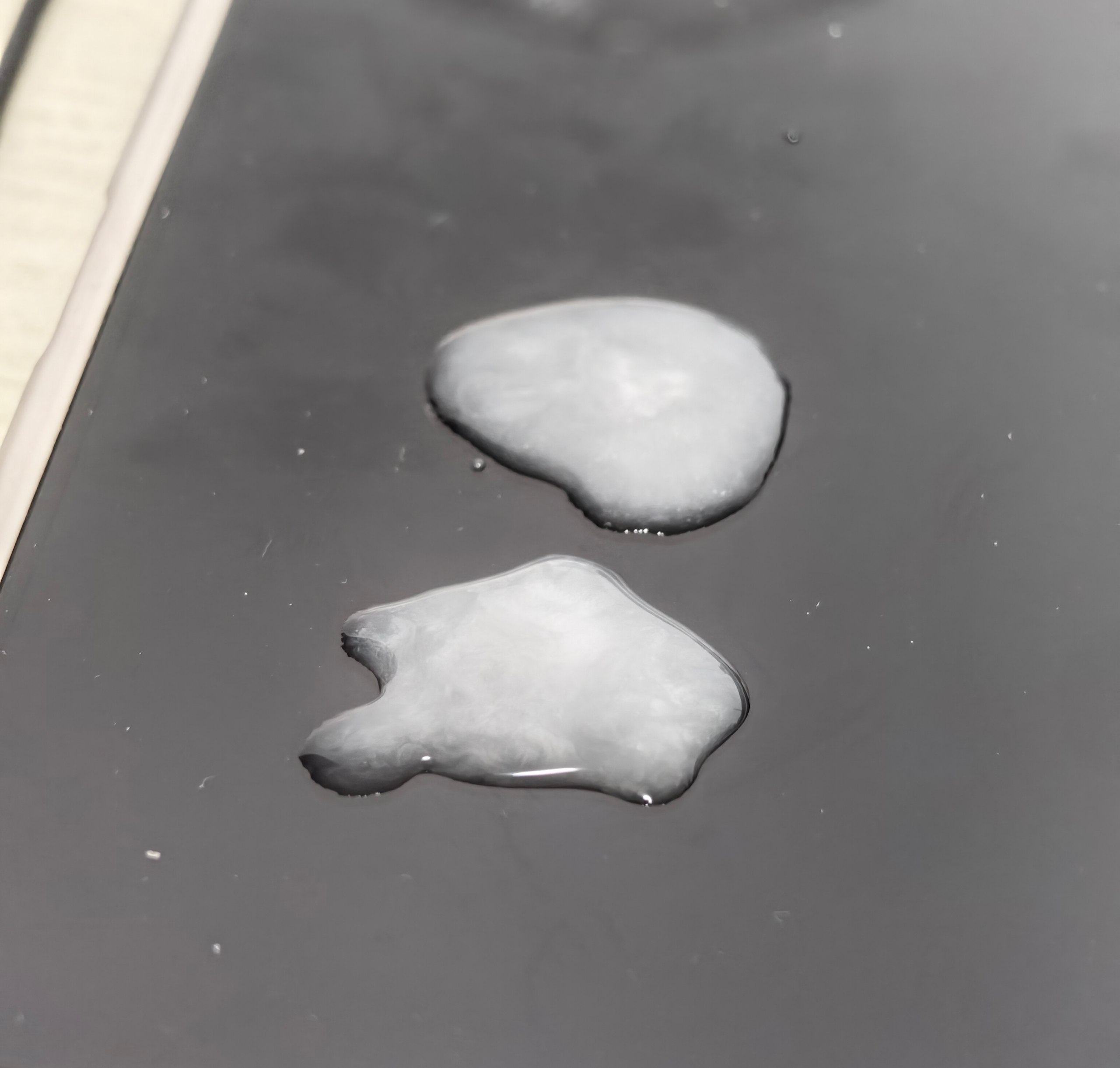 Forwarded from unknown channel:
> 今天的奶